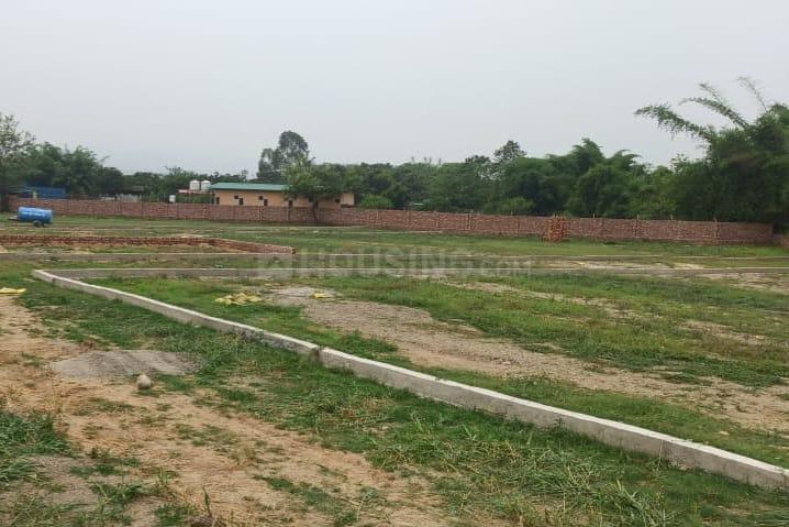 Selakui Main Image 1