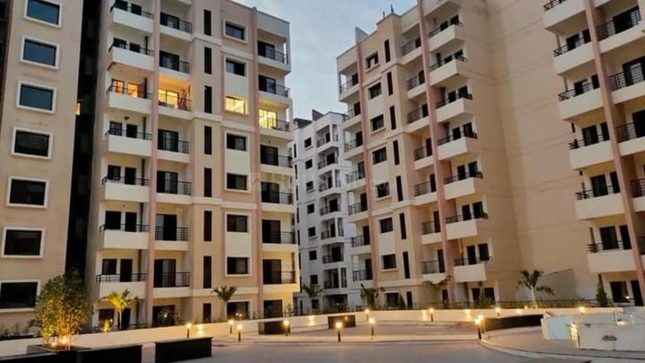 Dolphin Jewel O Main Image 1