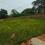 Pokhariput Plot View 2