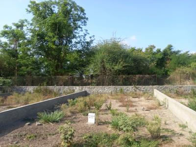 Hinjawadi Phase 2 Plot View 1