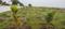 Nenmeli, Chengalpattu Plot View 2