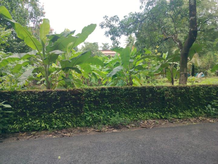 Keralarealty Main Image 1