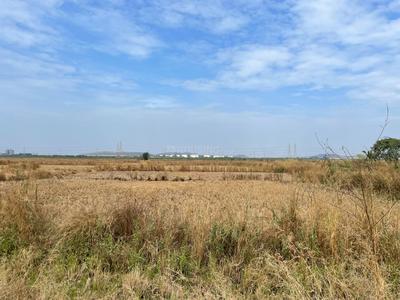 Chirner Plot View 3
