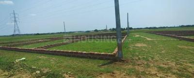 Patrapada Plot View 2