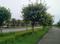DLF Garden City Main Image 1