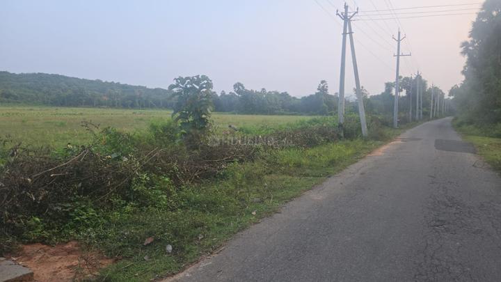 Peram Aditya White Field Main Image 1