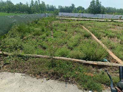Image of 1029 Sq.ft Residential Plot / Land for sale in Gangoh, Saharanpur for Rs. 1200000