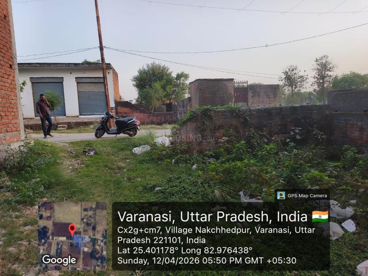 Manduwadih Main Image 1