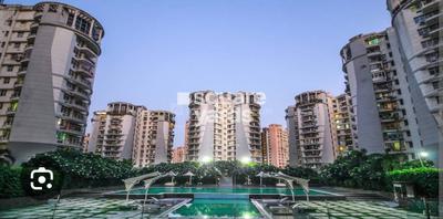 3.5 BHK Flat
