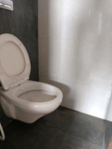 Common Bathroom Image of 650 Sq.ft 1 BHK Apartment / Flat for sale in Joyville Hadapsar Annexe Phase 9, Shewalewadi Pune for Rs. 5200000