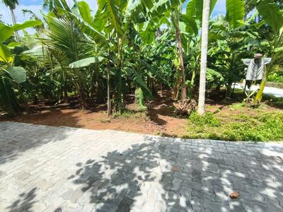 Nedumbassery Plot View 1