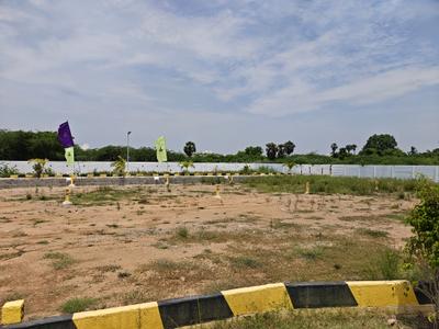 Residential Plot