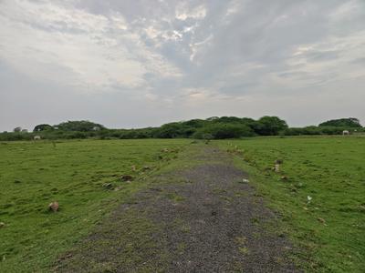 Image of 540 Sq.ft Residential Plot / Land for sale in Impulse Sai Vignesh Nagar, Singaperumal Koil, Chennai for Rs. 1080000
