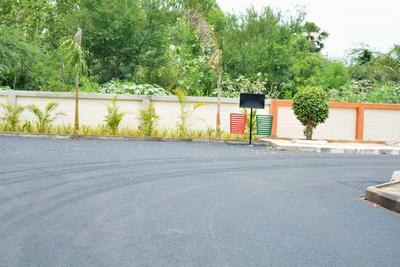 R thallavalasa Plot View 2