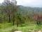 mukteshwar meadows Main Image 1