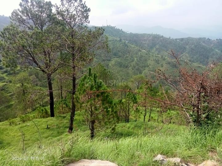 mukteshwar meadows Main Image 1
