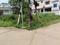 Vidya Nagar Main Image 1