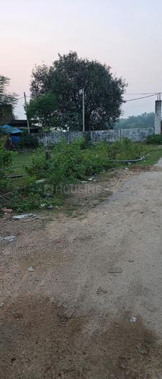 Mohanlalganj Main Image 1