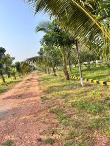 Image of 111 Sq.ft Residential Plot / Land for sale in Kothavalasa, Visakhapatnam for Rs. 666000