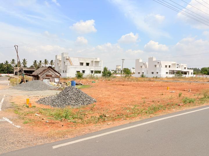 Kalapatti Main Image 1