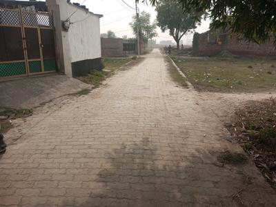 Dubkiya Plot View 2