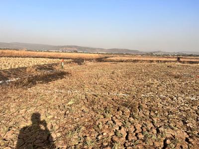 Image of 1089 Sq.ft Residential Plot / Land for sale in Shirdhon, Navi Mumbai for Rs. 1100000