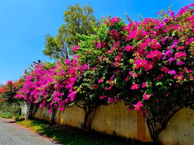 Image of 7700 Sq.ft 5 BHK Independent House for sale in Padur, Chennai for Rs. 105000000