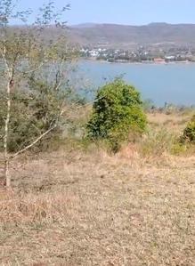 Agricultural Land