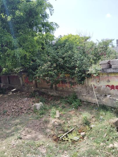YEIDA Individual Residential Plots Main Image 1