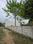 Param colony Main Image 1