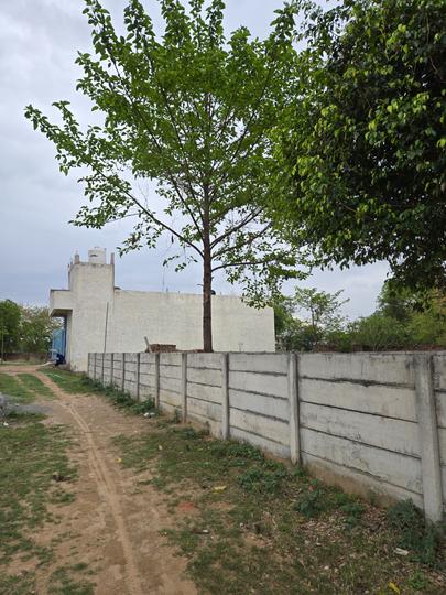 Param colony Main Image 1