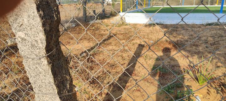BMR Gardens Main Image 1