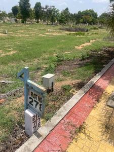 Residential Plot