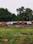 Kattankulathur Main Image 1