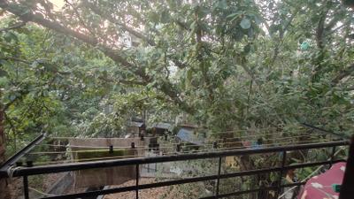 Balcony Image of 650 Sq.ft 2.5 BHK Builder Floor for sale in Patel Nagar New Delhi for Rs. 8000000