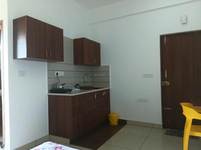 1 RK Apartment
