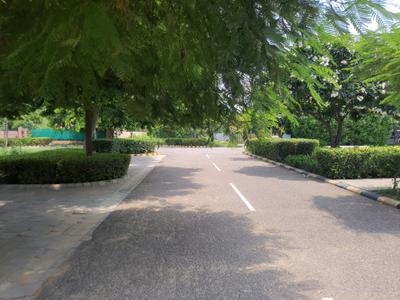 Image of 538 Sq.ft Residential Plot / Land for sale in DLF Alameda, Sector 73, Gurgaon for Rs. 177600000