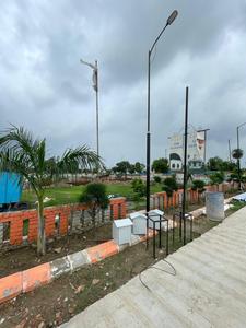 Sirsi Plot View 2