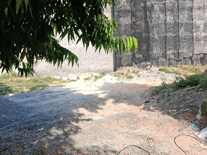 Basai Main Image 1