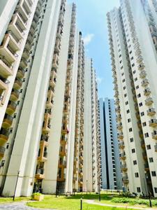 Building Image of 585 Sq.ft 1 BHK Apartment / Flat for sale in Amrapali Dream Valley 2, Noida Extension Greater Noida for Rs. 4700000
