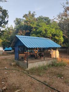 Image of 1500 Sq.ft 2 BHK Farm House for sale in Mahabalipuram, Chennai for Rs. 25000000