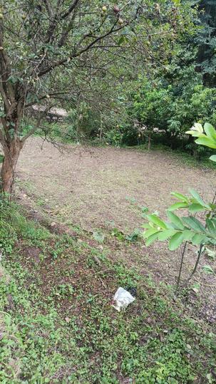 Bajoral Khurd Main Image 1