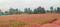 Devanahalli Plot View 2