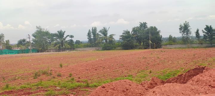 Devanahalli Main Image 1