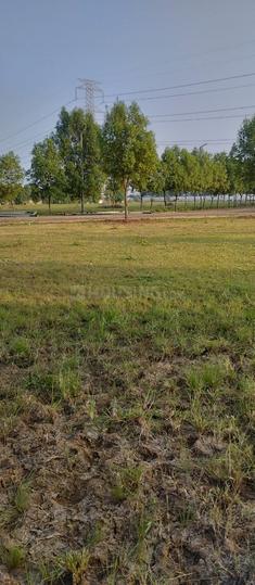 Chouhan Sunrise City Main Image 1