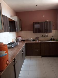 Kitchen Image of 1833 Sq.ft 3 BHK Builder Floor for rent in South City 1 Floors, Sector 41 Gurgaon for Rs. 59999