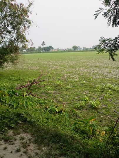 Bipadbhanjan Colony Main Image 1