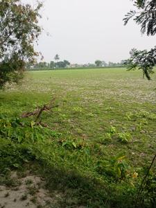 Bipadbhanjan Colony Plot View 1