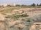 Jaipuria Sunrise Greens NH 24 BLOCK C1 Main Image 1
