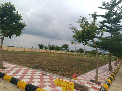 Kandi Plot View 2